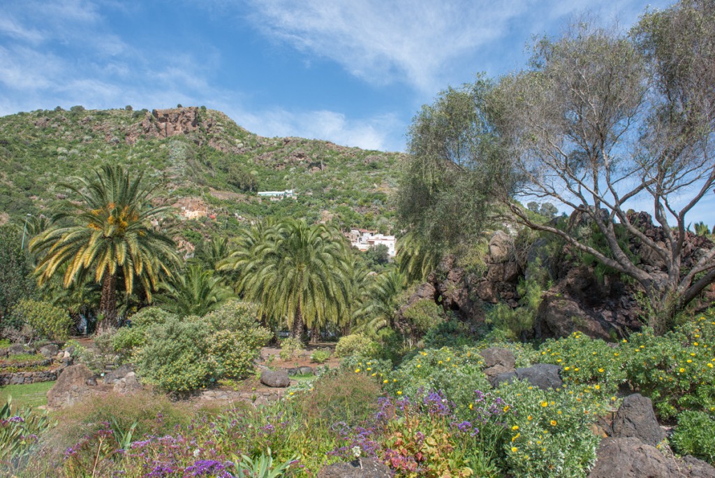 Jardín Botánico Viera y Clavijo